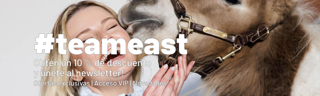 Newsletter Banner ES