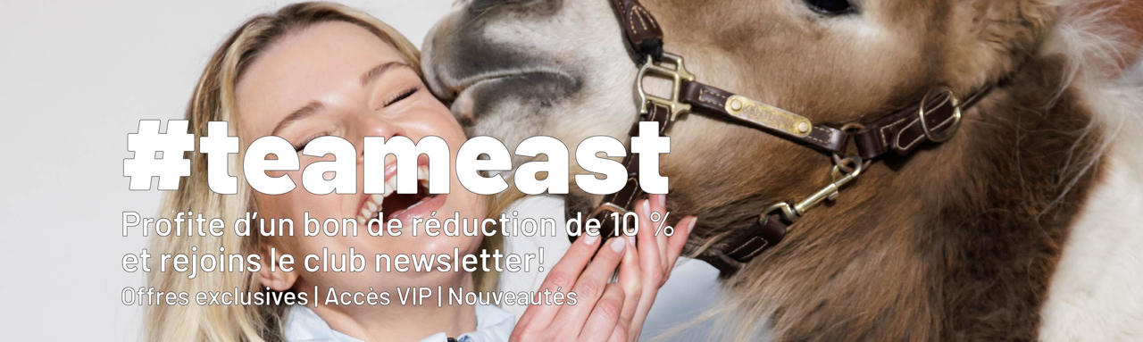 Newsletter Banner FR