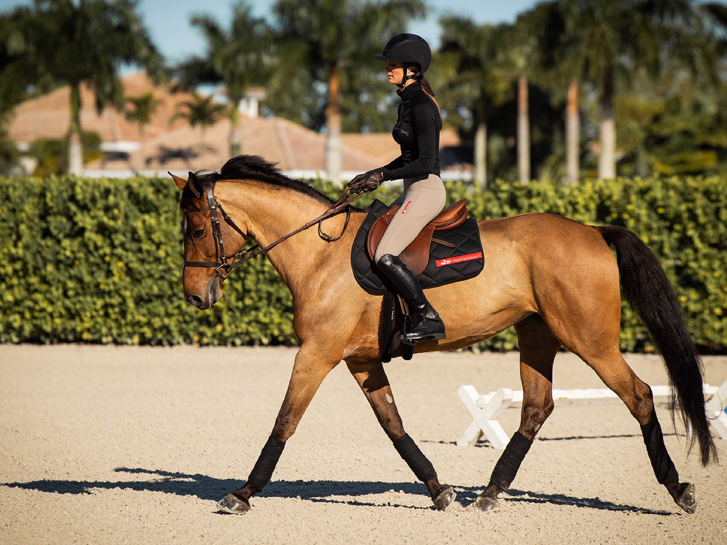 Reiten im Herbst & Winter: Reitertypen, Outfits & Tipps für kalte Tage