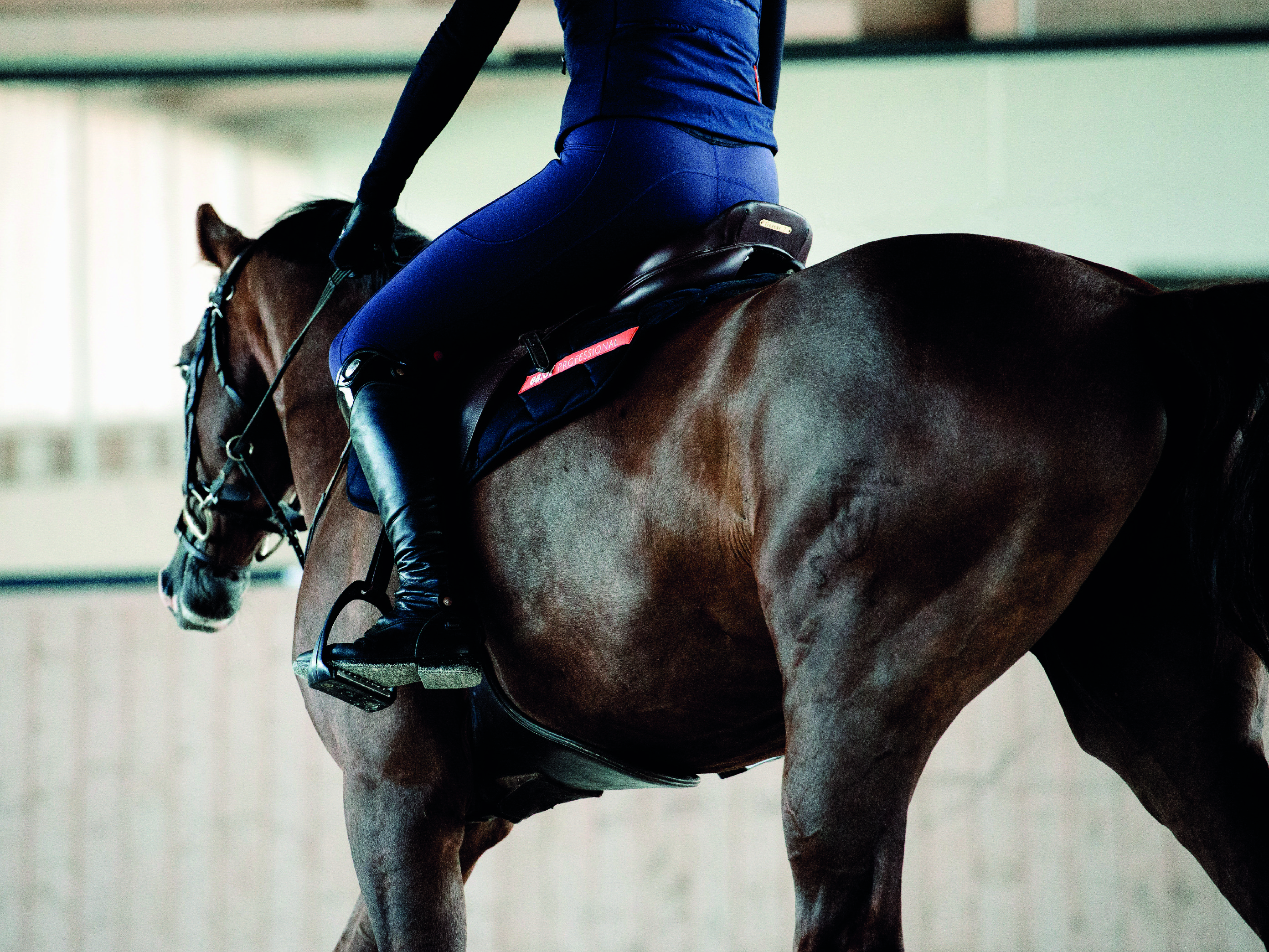 Trend alert for all riders: The new breathable winter edition of the riding leggings!