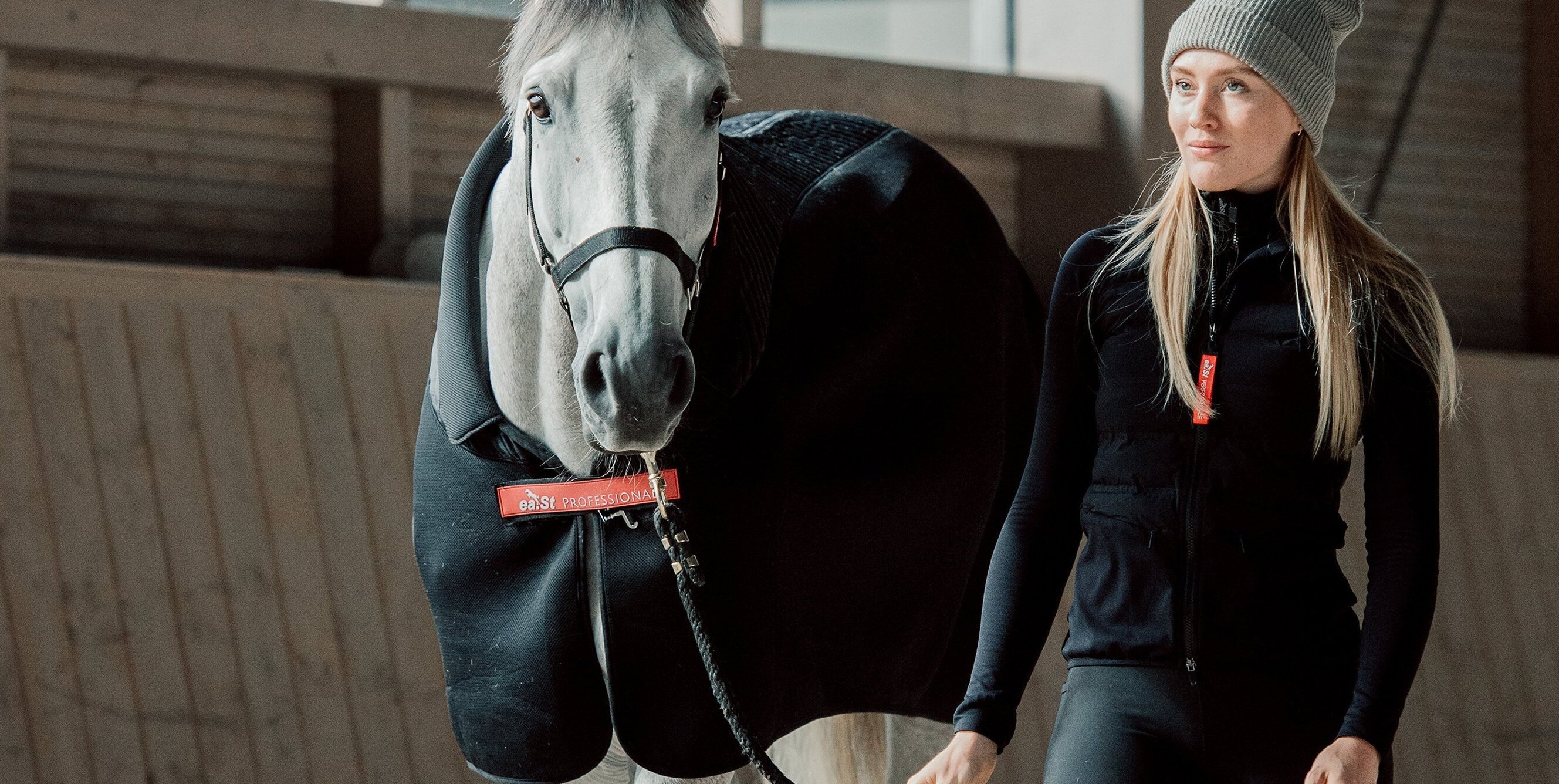 Reiten im Regen – Tipps für Pferd & Reiter:innen